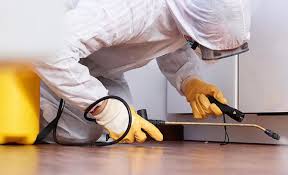 Best Commercial Pest Control  in Massillon, OH